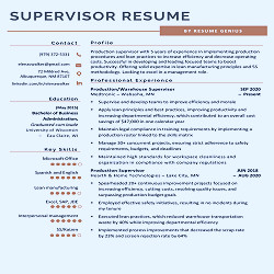 Supervisor Resume Example & Tips for Writing